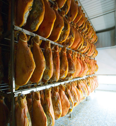 la_monrealense_instalaciones